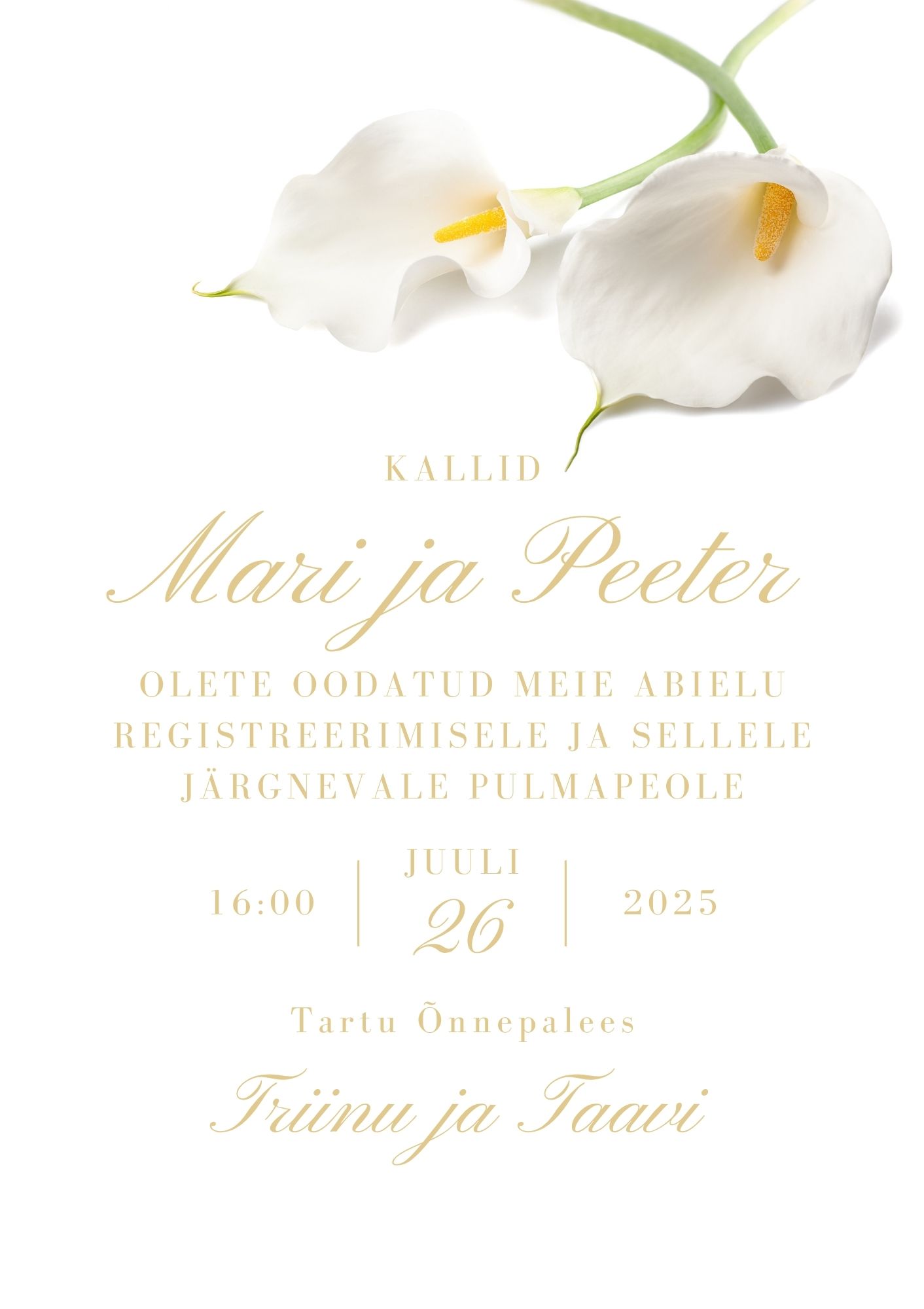 Pulmakutse nr. 60 - Image 4